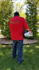 Castro Lawn Care photo 7