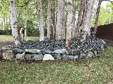 Cardenas Landscaping Service LLC photo 5