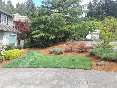 Barbosa Home Maintenance Services photo 1