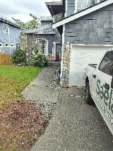 Saela Pest Control photo 2