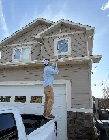 Halt Pest Control Ltd photo 5
