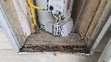 Trident Pest Control photo 4