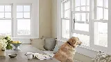 Winning Windows