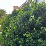LawnStarter Landscaping photo 3