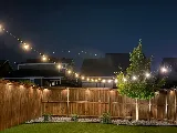 Lone Star Lawns, Arlington, TX photo 4
