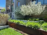 Thrive Landscape Services