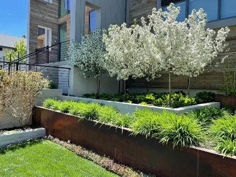 Thrive Landscape Services in Draper