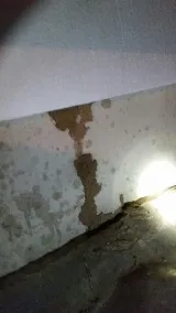 Bacon's Termite & Pest Control photo 8