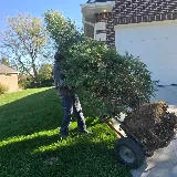 Moku Lawn and Landscaping photo 8