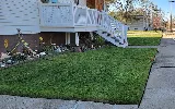 TruGreen photo 4