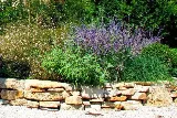 Harkness Gardens Landscaping photo 3
