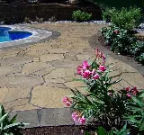 Action Landscaping Inc photo 7