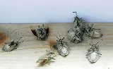Pied Piper Pest Control photo 4