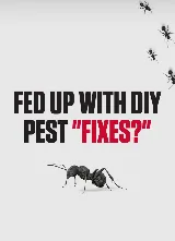 Mr Bug Pest Control photo 6