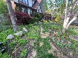 Cedargate Landscaping photo 7