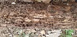 Mug-A-Bug Pest & Termite Control