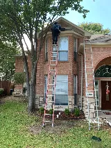 D'Bug Man Pest Control LLC photo 6