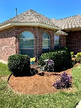 3DL Landscape & Lawn photo 8