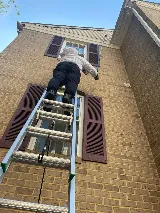 Senate Termite & Pest Control photo 8