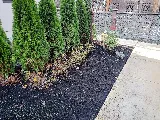 Before The Worm Landscaping photo 7