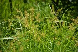 Pro Pest and Lawn Store photo 6