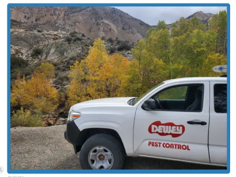Dewey Pest & Termite Control in Lancaster