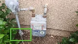 Trident Pest Control photo 7