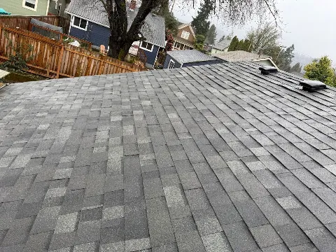 Geek Roofing in Portland