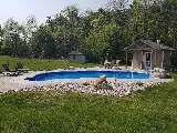 Dynasty Pools & Spas photo 7