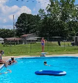 Blue Dolphin Pools photo 3