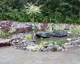 Rock Landscaping photo 8