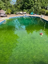 Friendly Guy's Pool Service photo 6