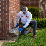 Big Time Pest Control photo 4
