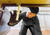 Presto-X Pest Control photo 7
