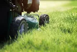 Ortega's Lawn and Landscaping, LLC photo 4