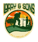 Larry & Sons Landscaping photo 8