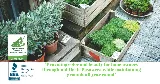 Aguirre Lawn Service Maintenance LLC