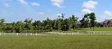 U.S. Lawns - New Orleans photo 6