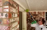 Bulwark Exterminating photo 6