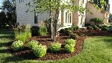 Integrity Landscape Services, LLC photo 7