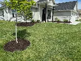 Preferred Pest and Lawn photo 2