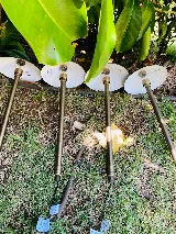 Hapa Landscaping LLC photo 4