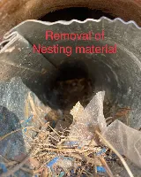 Target Pest Management photo 6
