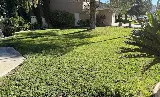 Ugarte Landscapes & Irrigation Repair photo 5
