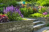 Topnotch Landscaping photo 7