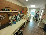 Advanced Pest Solutions photo 4
