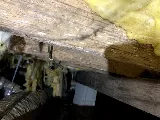 JNS Pest Control photo 6