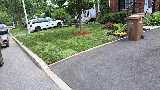 Springfield landscaping photo 3