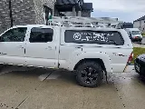 Pestro Pest Control photo 4