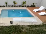 Palm Pool Builders Dallas photo 4